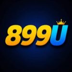 889U Game
